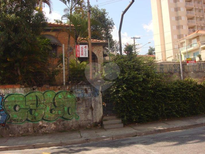 Foto REO23678