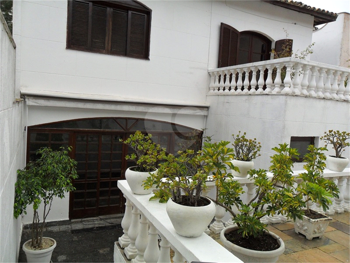Foto REO237613