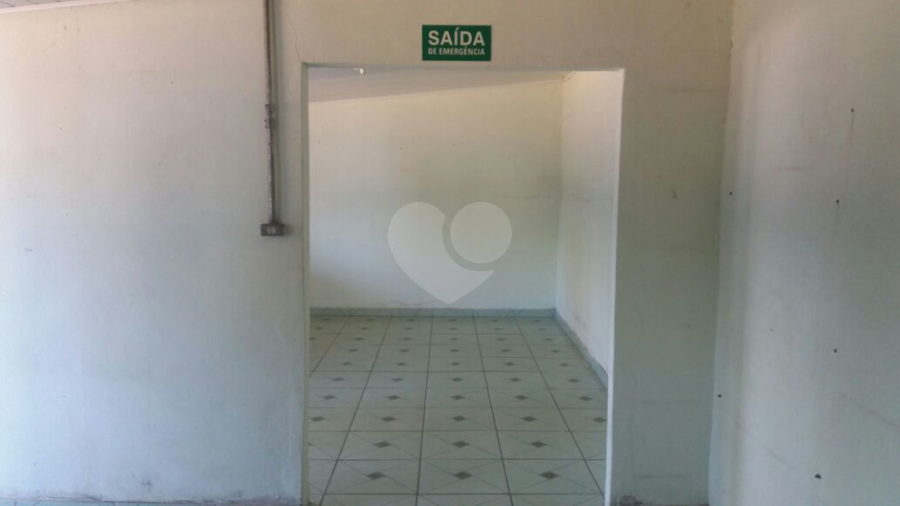 Foto REO238124