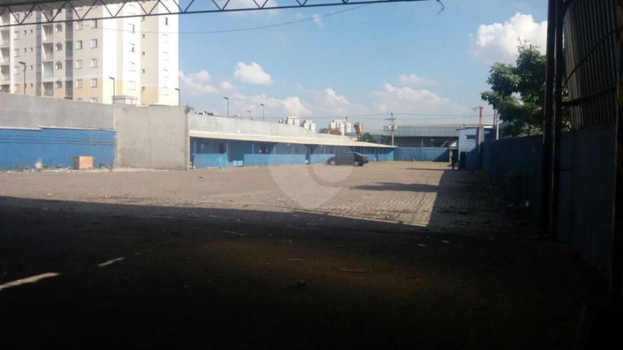 Foto REO238124