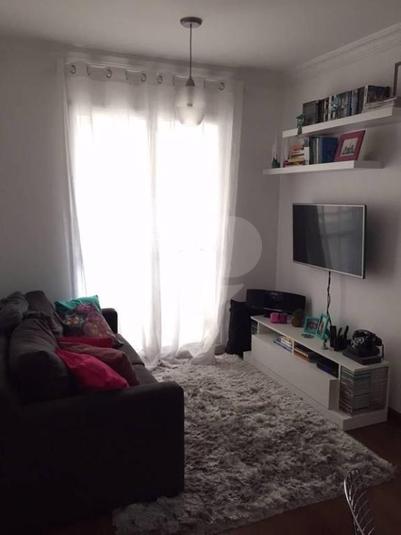 Foto REO238283