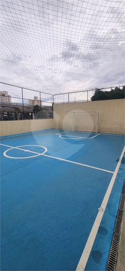 Foto REO238849