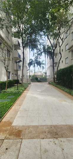 Foto REO238849