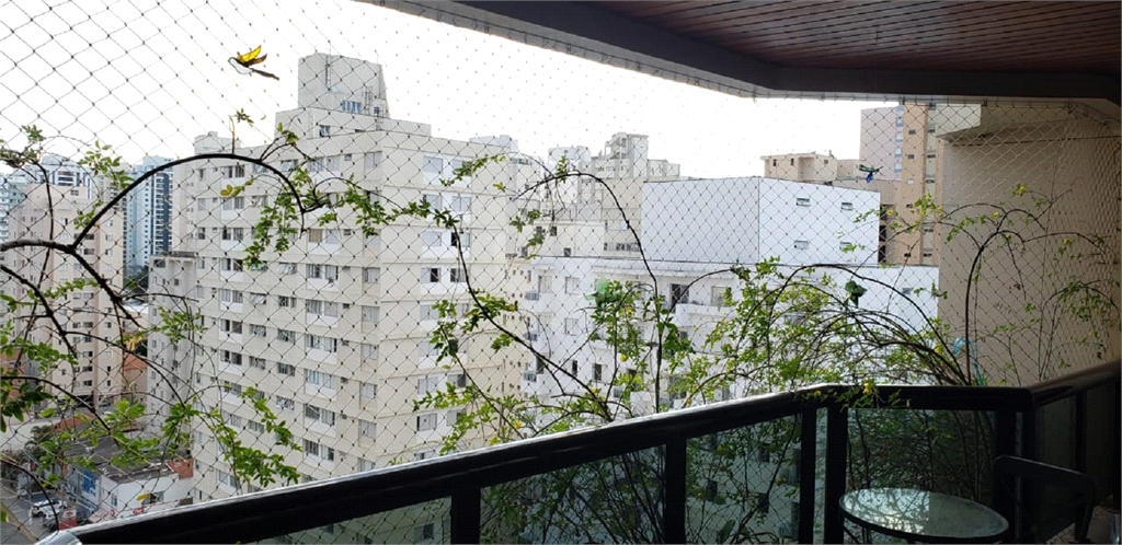 Venda Apartamento São Paulo Vila Uberabinha REO24104 13