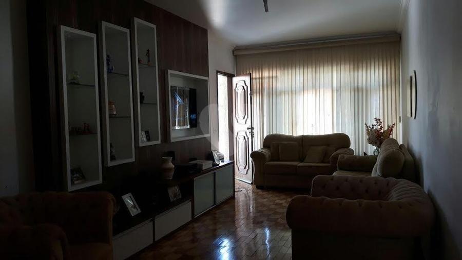 Foto REO243847