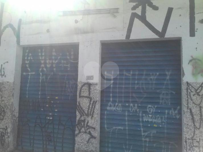 Foto REO244279