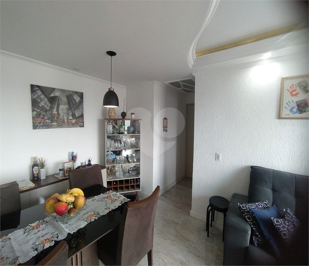 Foto REO245173
