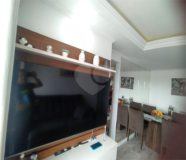 Foto REO245173