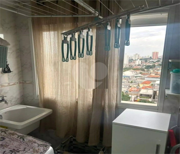 Foto REO245173