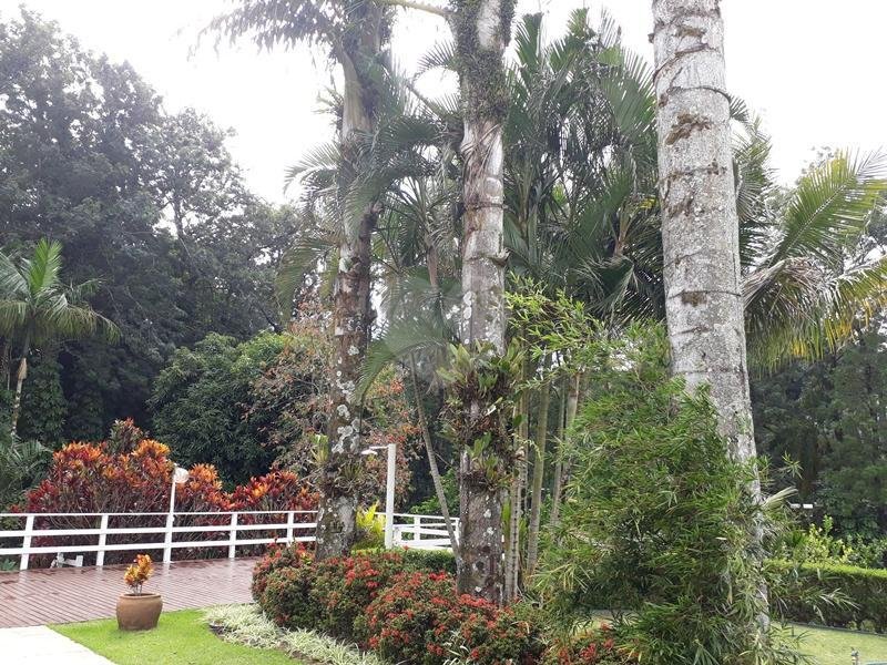 Venda Condomínio Campinas Sítios De Recreio Gramado REO245317 19