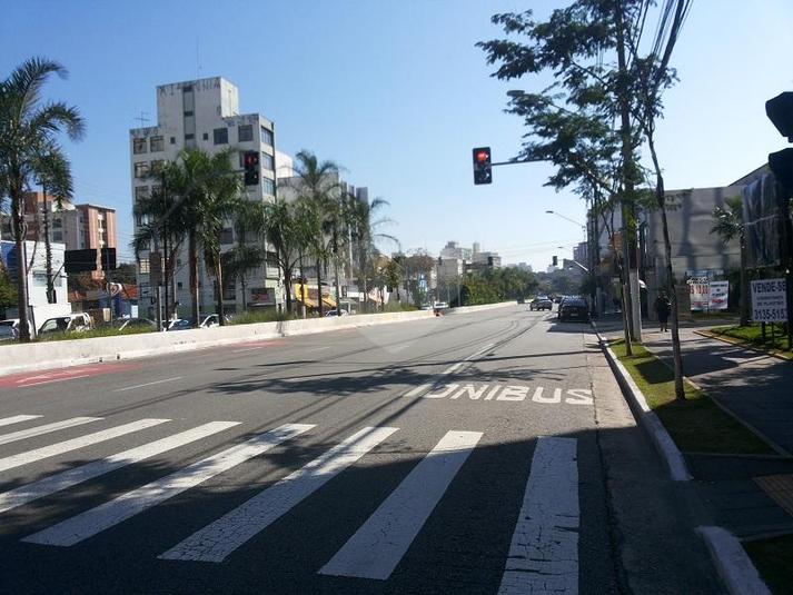 Foto REO245741