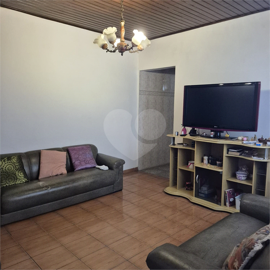 Foto REO246062