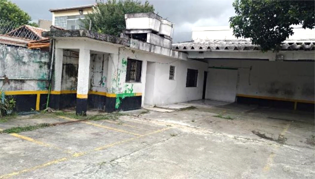 Aluguel Loja São Paulo Vila Constança REO246627 29