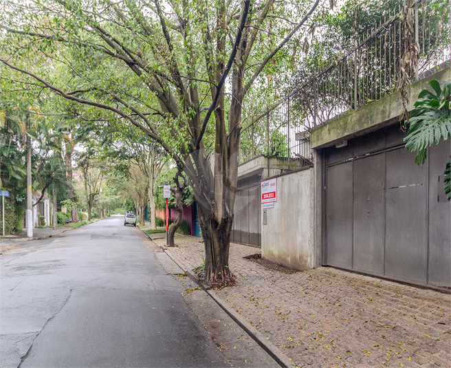 Foto REO246751