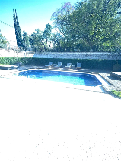 Foto REO247357