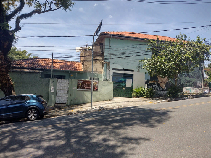 Foto REO247662