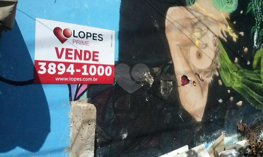 Foto REO247662