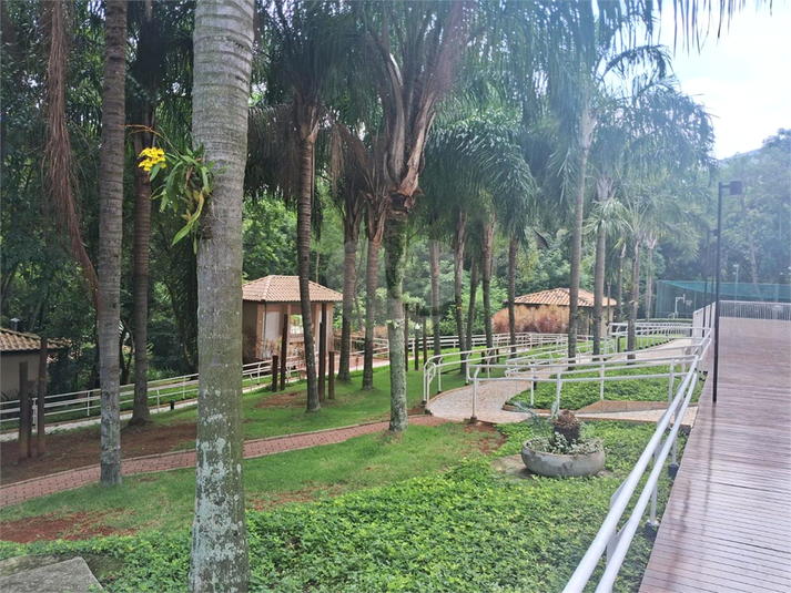 Foto REO247670