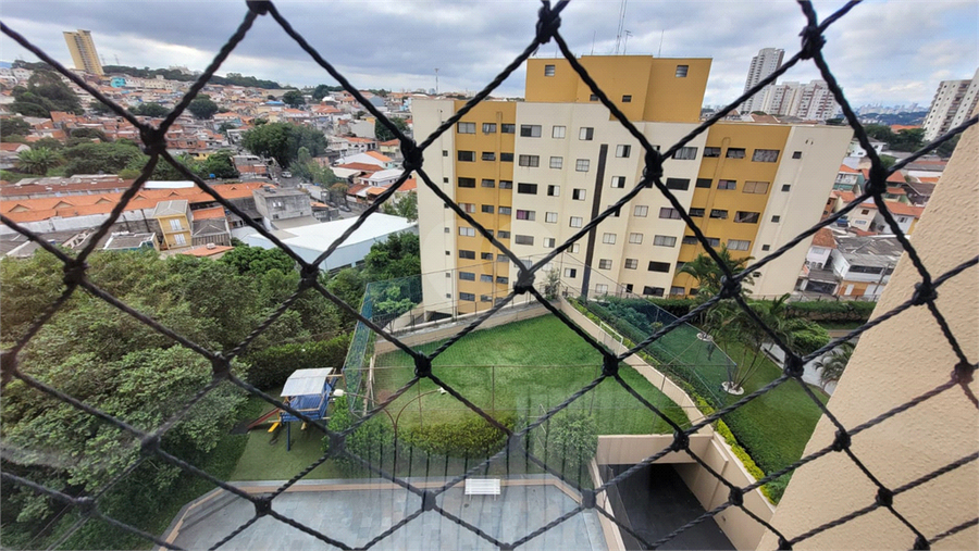 Foto REO247675