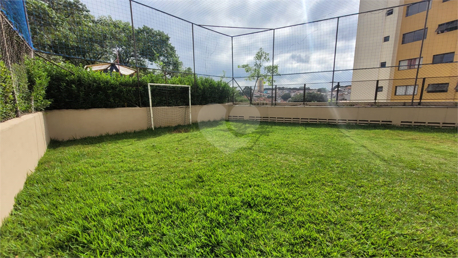 Foto REO247675