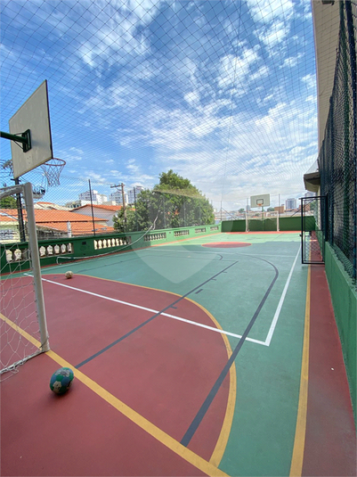 Foto REO247969