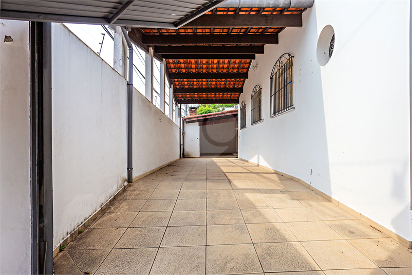 Foto REO247984
