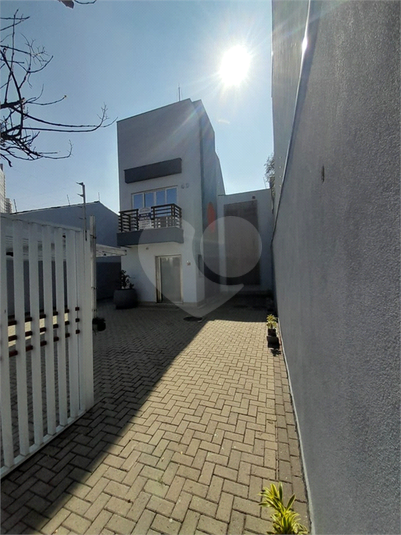Foto REO248741