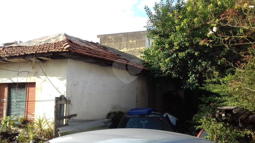 Venda Terreno São Paulo Vila Maria Alta REO248901 13