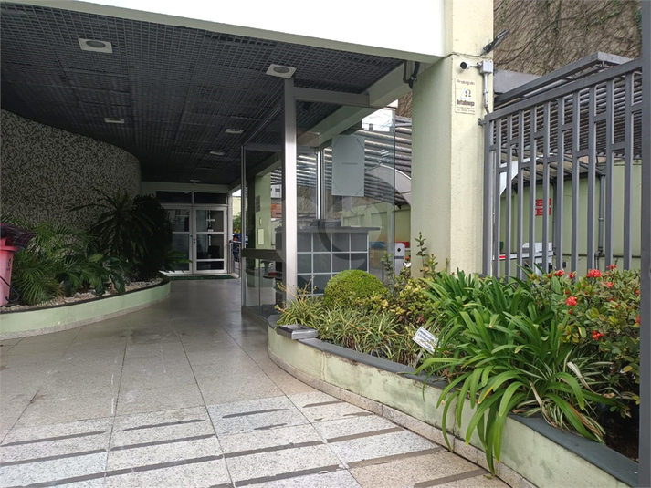 Foto REO249165