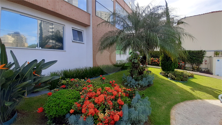 Foto REO250252