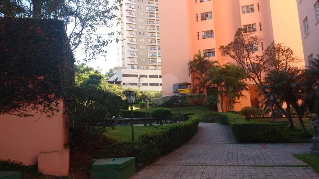 Venda Apartamento São Paulo Vila Pita REO250605 8