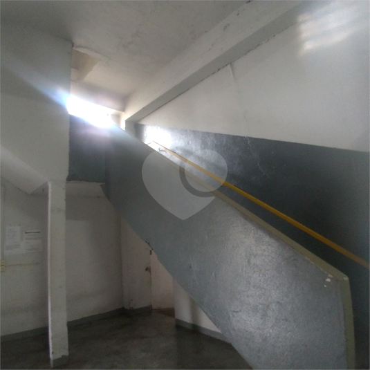 Foto REO250827