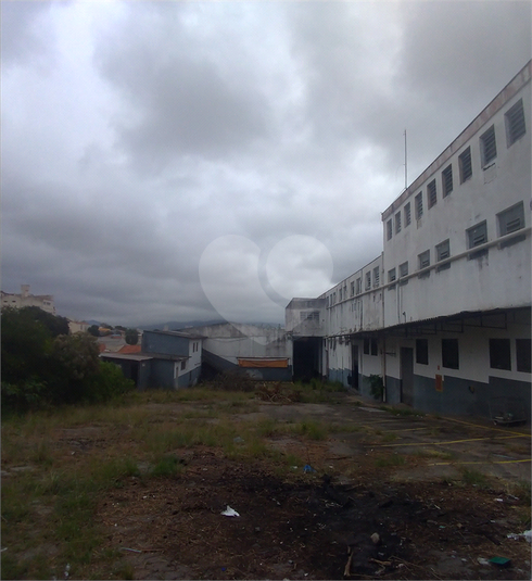 Foto REO250827