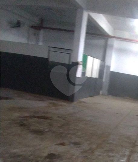 Foto REO250827
