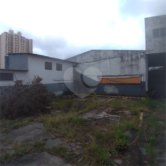 Foto REO250827