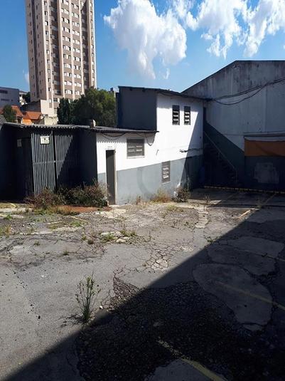 Foto REO250827