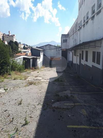 Foto REO250827