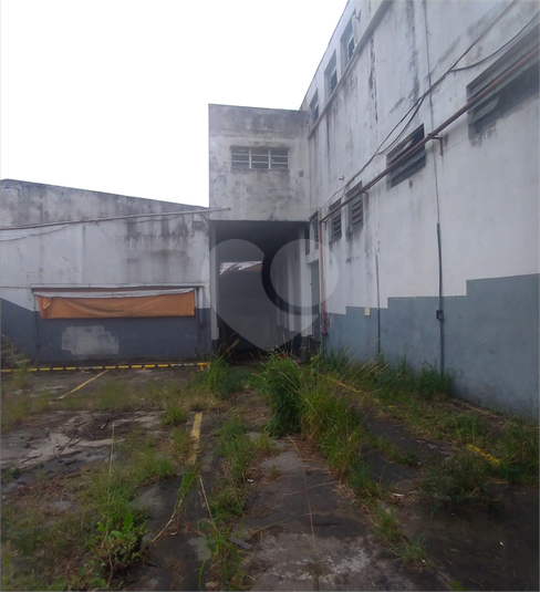 Foto REO250827