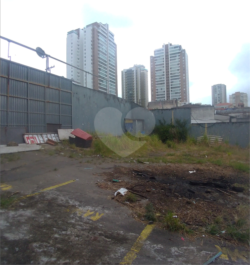 Foto REO250827