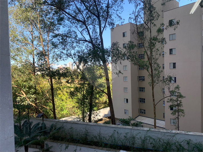 Foto REO251178