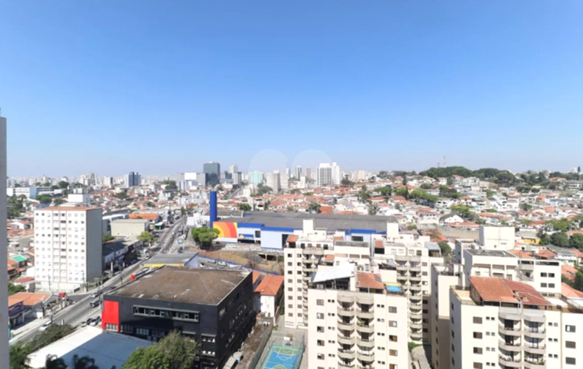 Foto REO251196