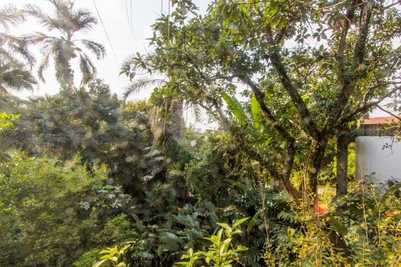 Venda Casa São Paulo Cidade Jardim REO25158 9