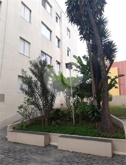 Venda Apartamento São Paulo Lauzane Paulista REO251736 17