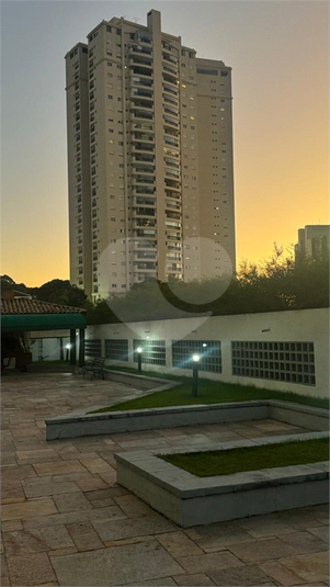 Foto REO252020