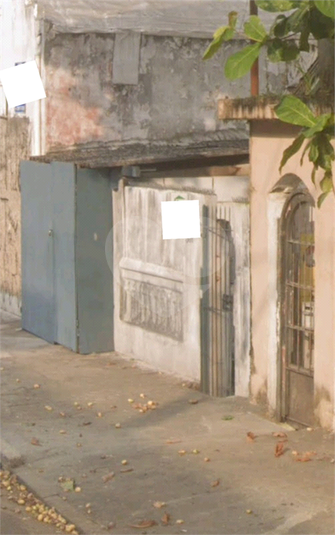 Foto REO252102