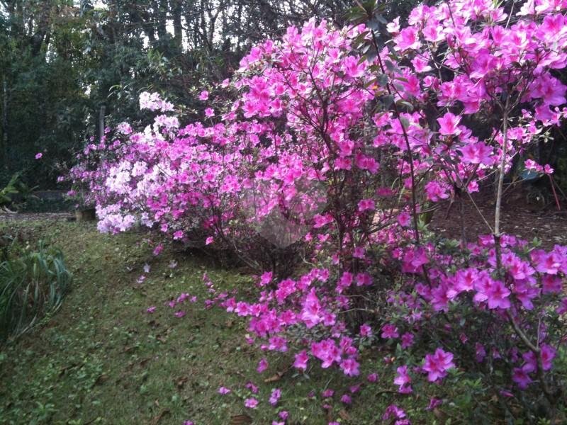 Venda Casa Atibaia Parque Fernão Dias REO25221 15