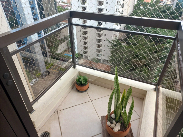 Foto REO252257