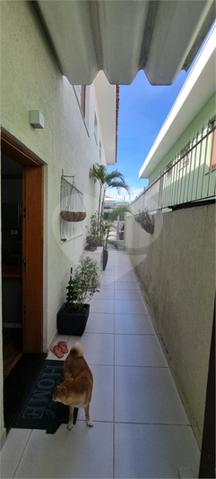 Foto REO252438