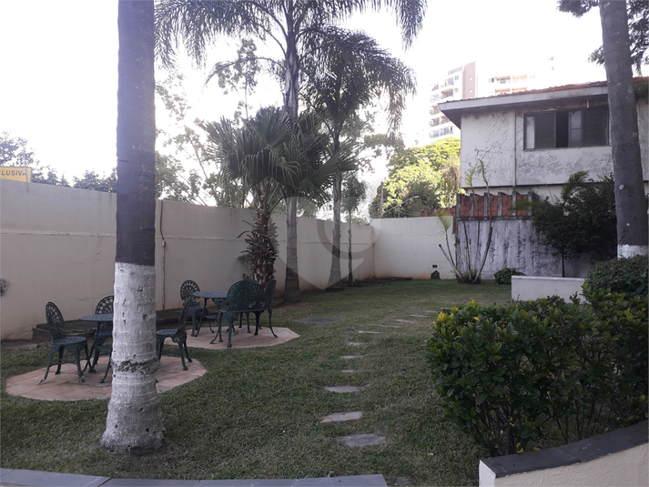 Foto REO252632