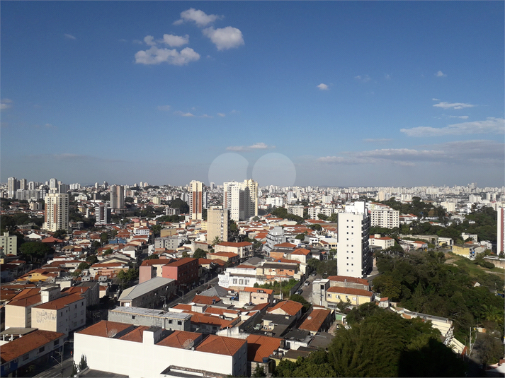 Foto REO252632